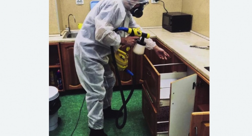 Уничтожение насекомых в квартире. Новоульяновск