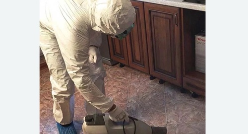 Уничтожение тараканов в квартире. Новоульяновск