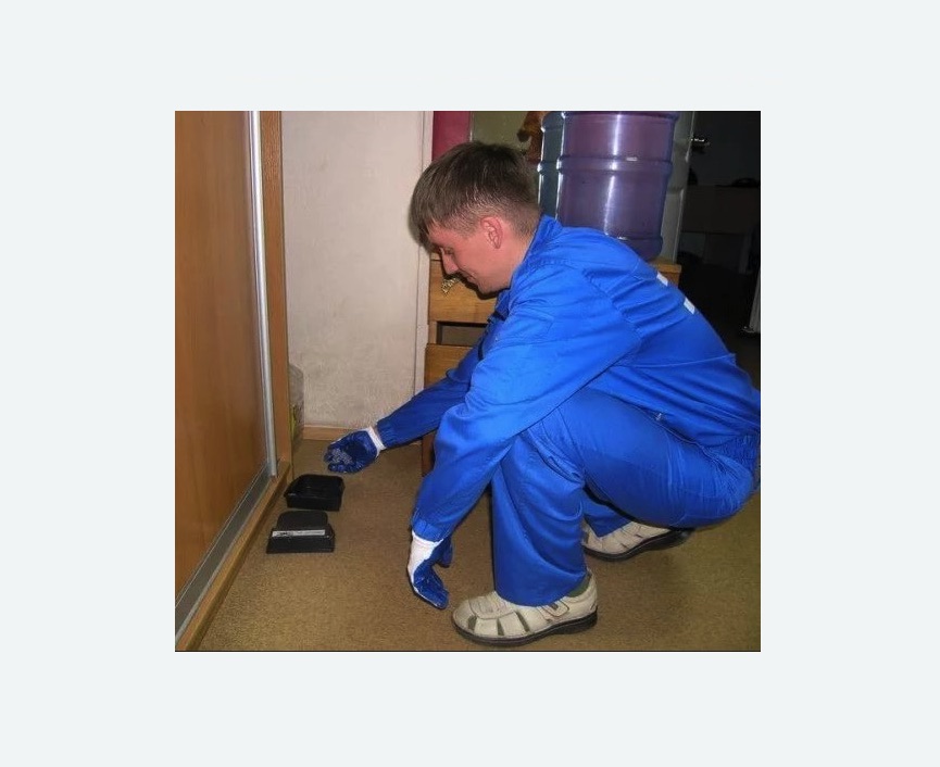 Дератизация крыс Дератизация крыс в Новоульяновске