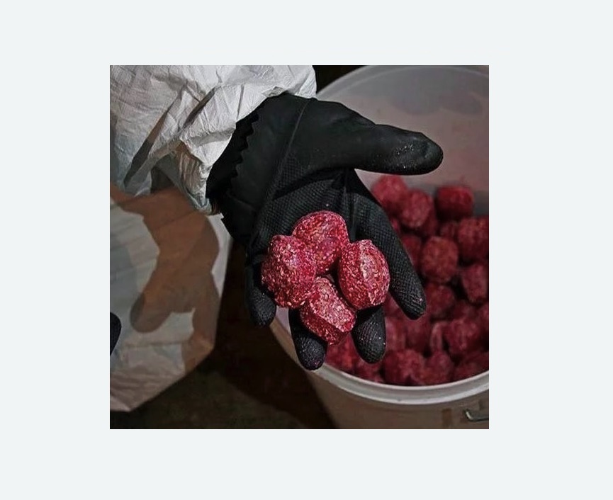 Обработка от крыс Обработка от крыс в Новоульяновске