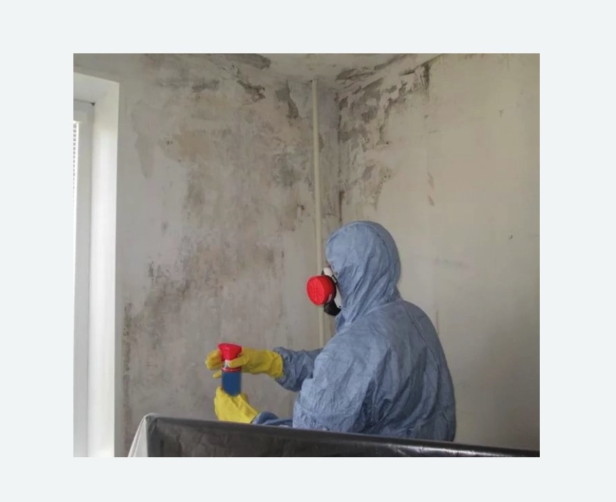 Удаление плесени в квартире в Новоульяновске