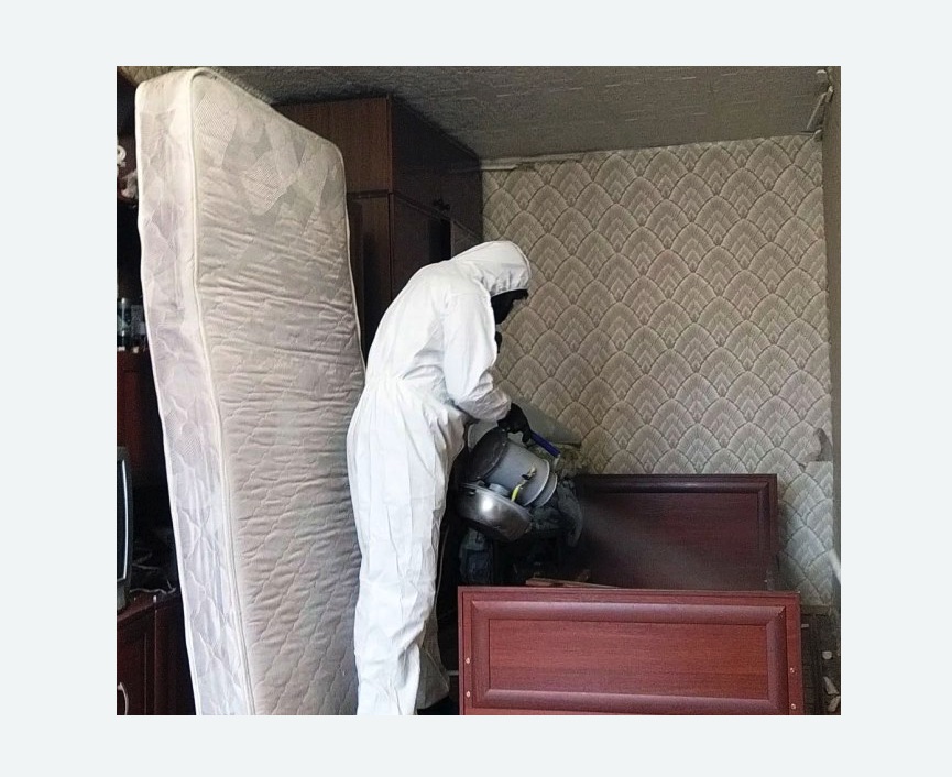 дезинфекция от клопов дезинфекция от клопов в Новоульяновске