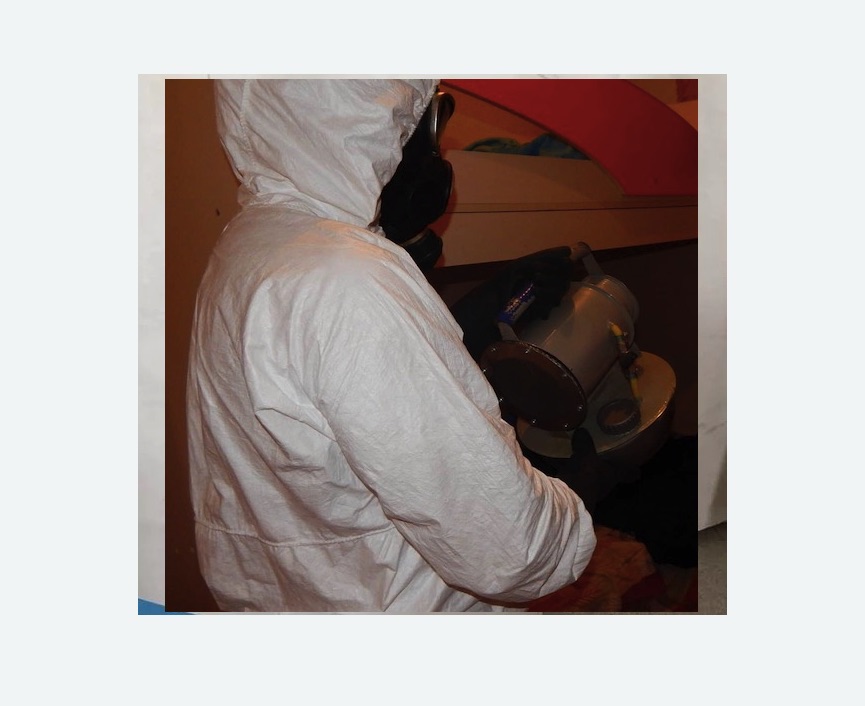 Дезинфекция от муравьев в Новоульяновске