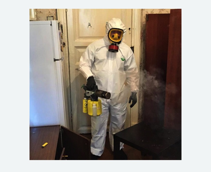 уничтожение муравьев в квартире в Новоульяновске